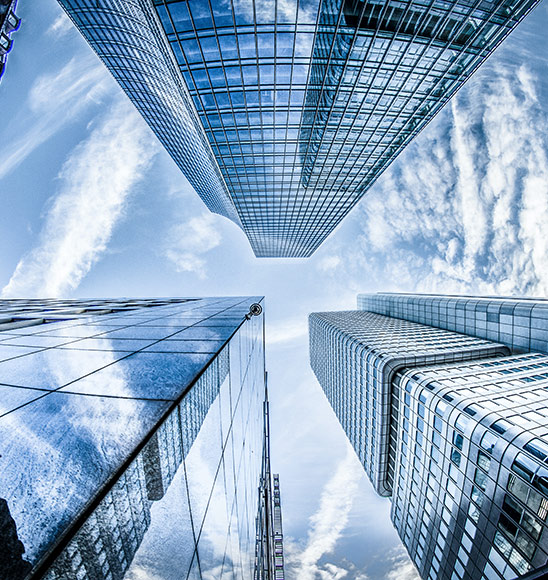 pexels-philipp-birmes-830891